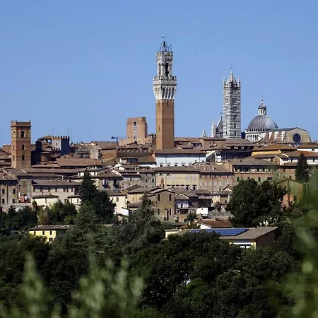 La Strega * Siena